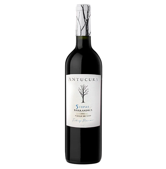 Domaine Antucura - 5 Cepas Barrandica