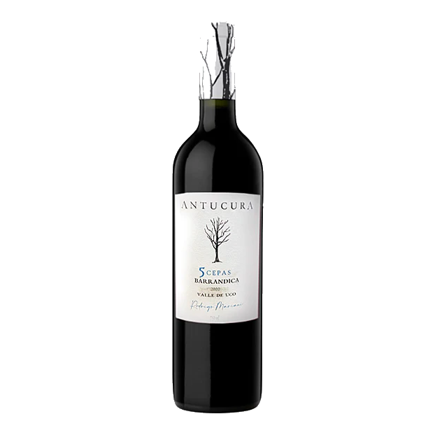 Domaine Antucura - 5 Cepas Barrandica
