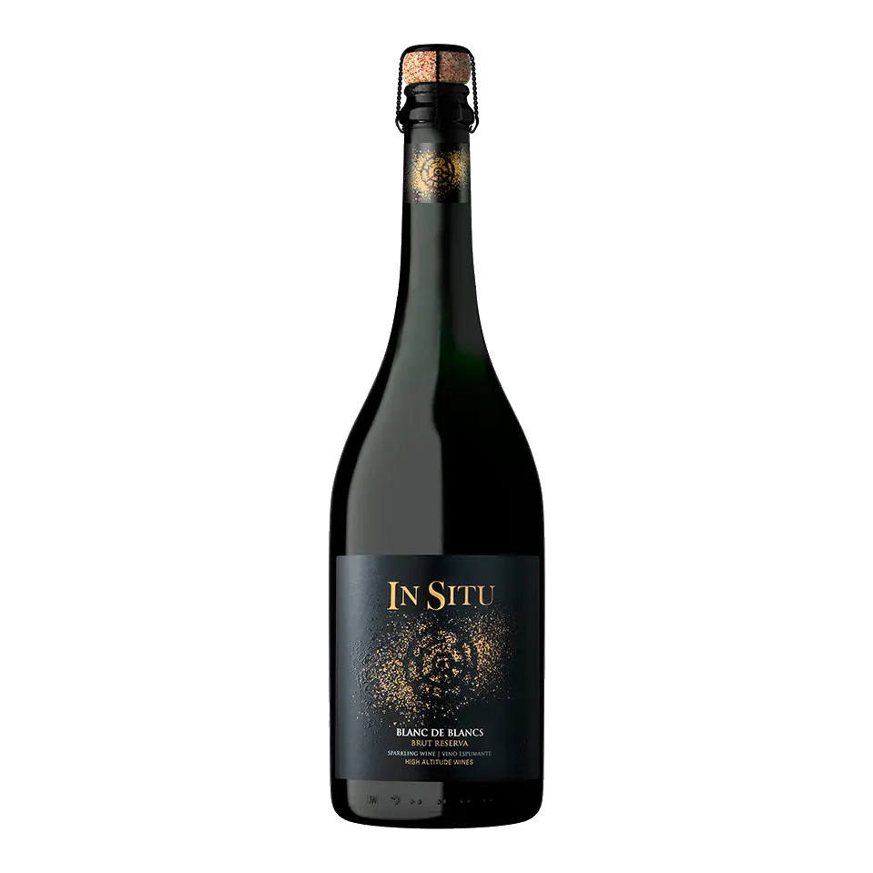 Domaine San Esteban - In Situ Sparkling 