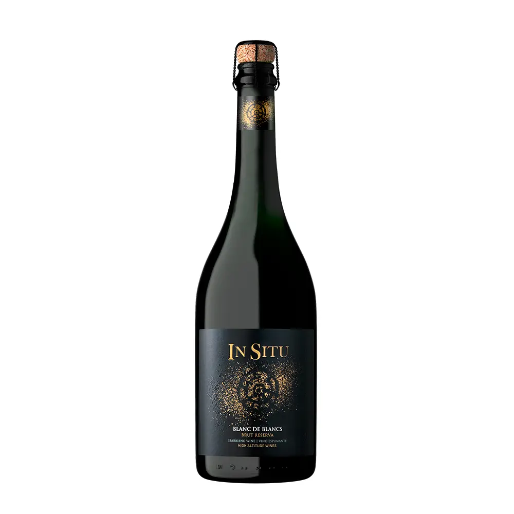 Domaine San Esteban - In Situ Sparkling 