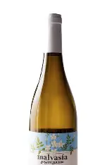 Domaine Val  San Giacomo "Malvasia de Sant Jaume"