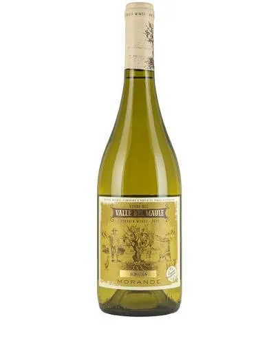 Domaine Morandé - Terroir Wines Semillon