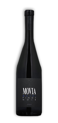 Domaine Movia - Pinot Noir 