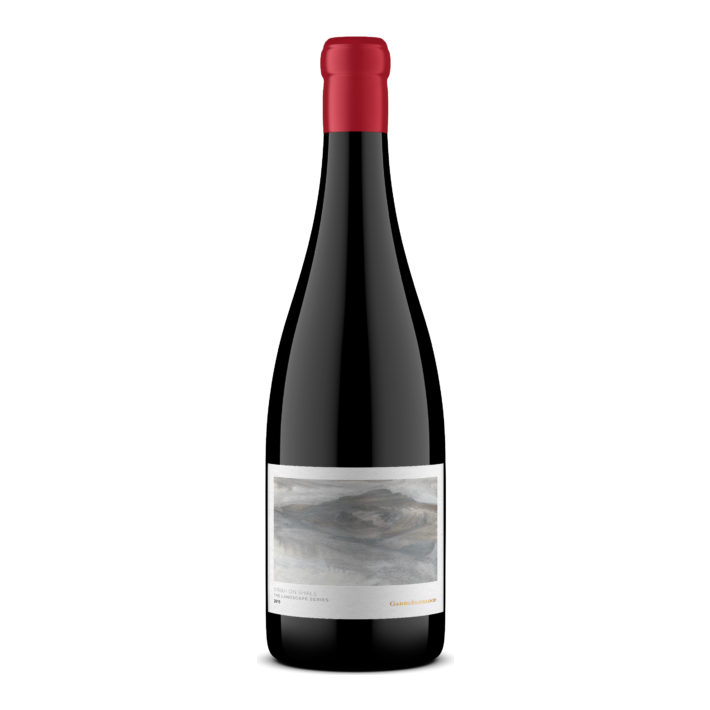 Domaine Gabrielskloof - Syrah on shale 