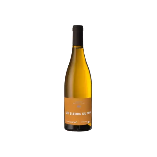 Domaine Coume del Mas - Les fleurs du Mas 