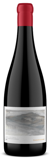 Domaine Gabrielskloof - Syrah on shale 